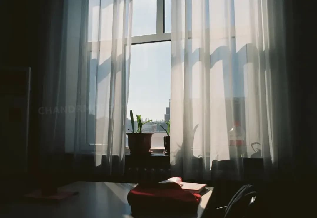 Property-Studioの視点で考える、農業と空間づくりの関係